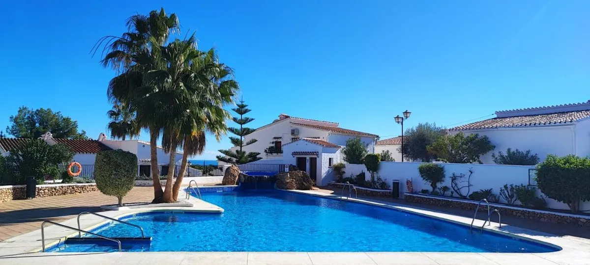 Community pool with palm trees